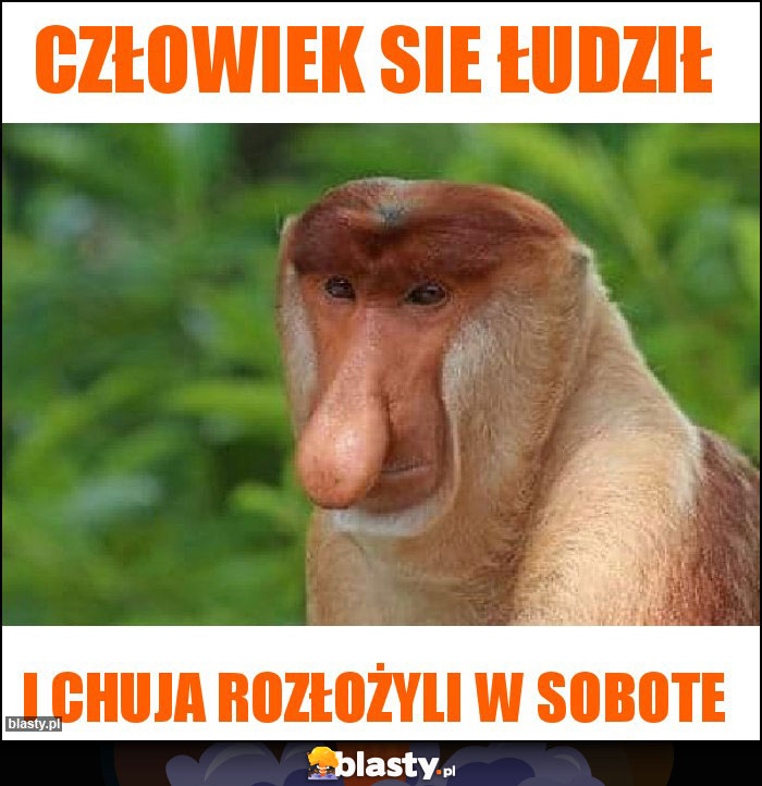 człowiek sie łudził człowiek sie łudził