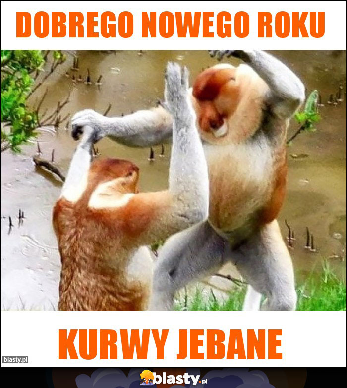 Dobrego nowego roku Dobrego nowego roku