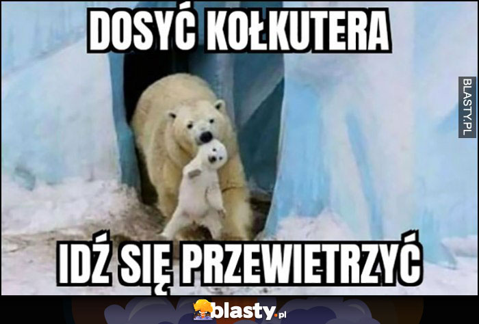 Dosyć komputera idź się przewietrzyć mały niedźwiedź wynoszony za ucho