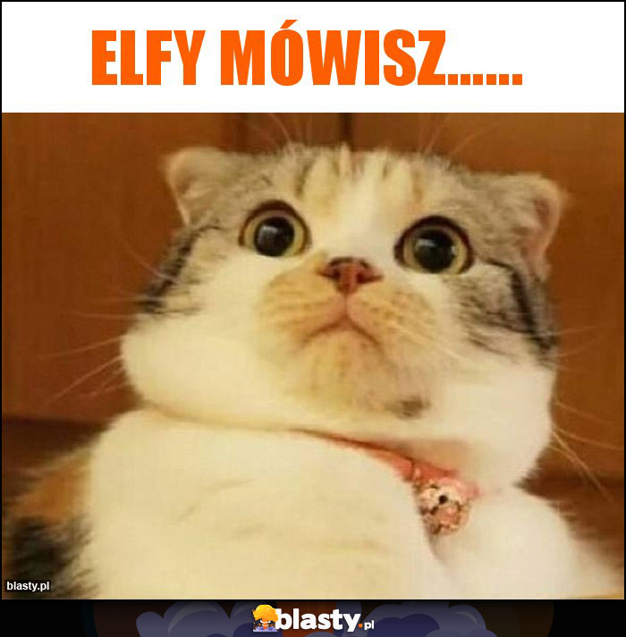 Elfy mówisz...... Elfy mówisz......