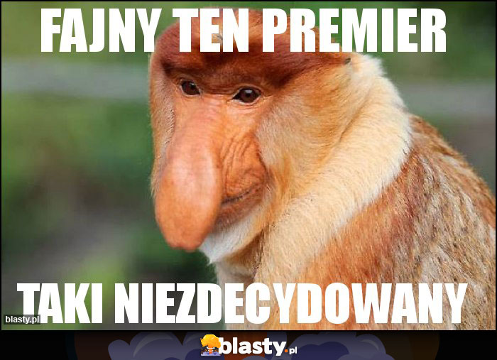 FAJNY TEN PREMIER FAJNY TEN PREMIER