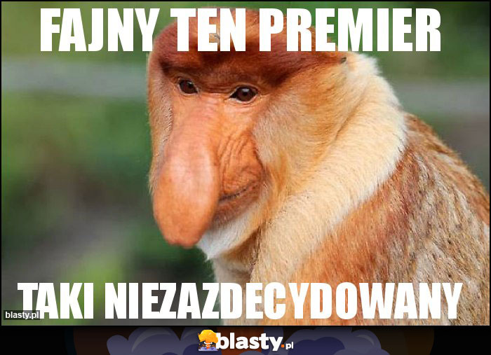 FAJNY TEN PREMIER FAJNY TEN PREMIER