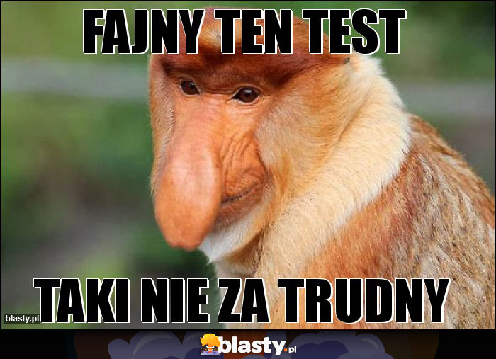 FAJNY TEN TEST FAJNY TEN TEST