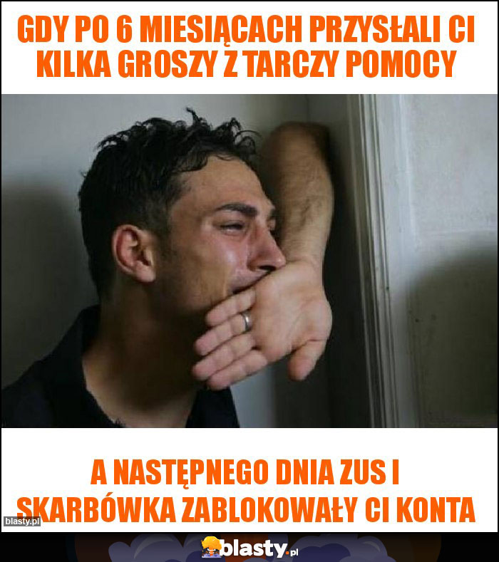 gdy po 6 miesiącach przysłali ci kilka groszy z tarczy pomocy gdy po 6 miesiącach przysłali ci kilka groszy z tarczy pomocy