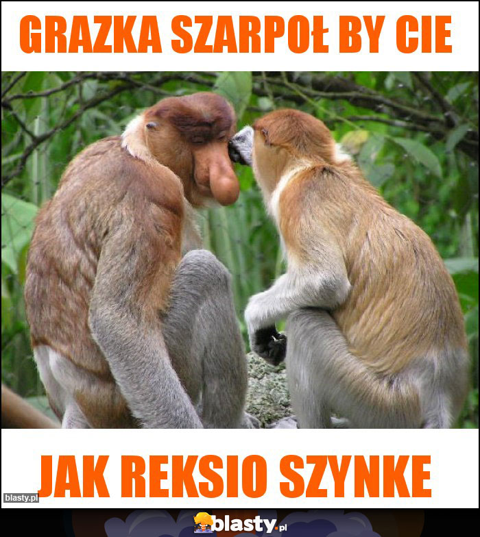 Grazka szarpoł by Cie Grazka szarpoł by Cie