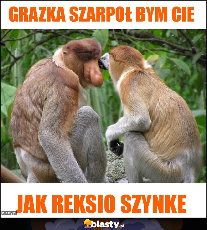 Grazka szarpoł bym Cie Grazka szarpoł bym Cie