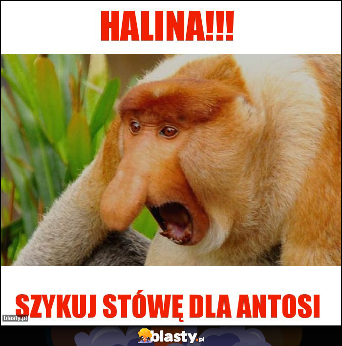 Halina!!!