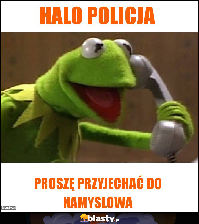 Halo policja Halo policja