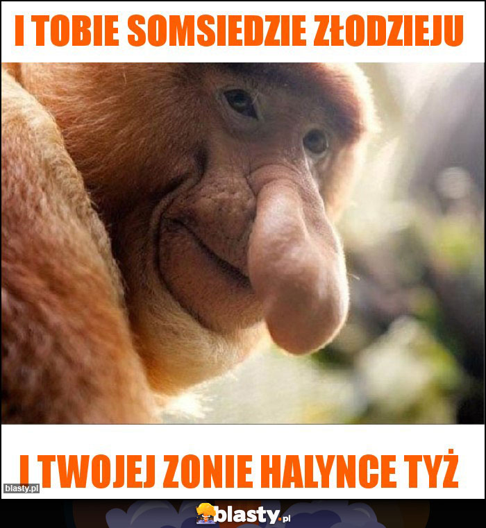i Tobie somsiedzie złodzieju i Tobie somsiedzie złodzieju