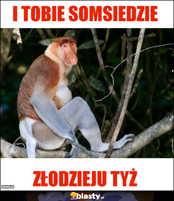 i Tobie somsiedzie i Tobie somsiedzie