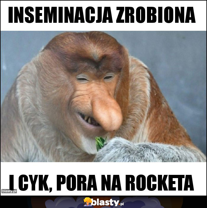 Inseminacja zrobiona Inseminacja zrobiona