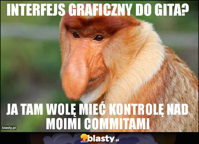 Interfejs graficzny do gita? Interfejs graficzny do gita?