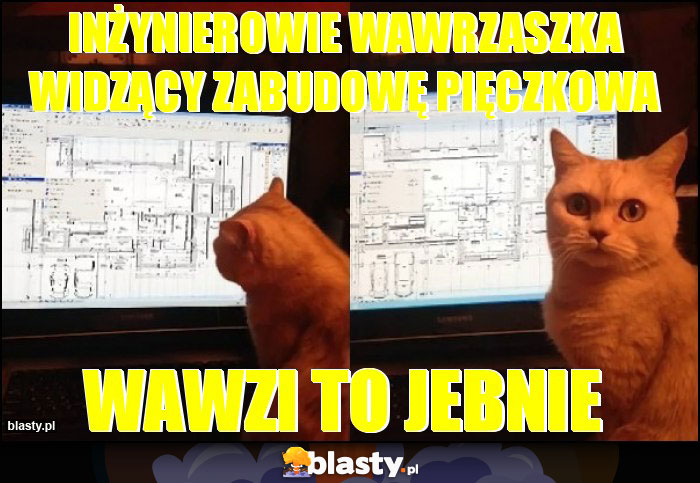 Inżynierowie Wawrzaszka widzący zabudowę Pięczkowa Inżynierowie Wawrzaszka widzący zabudowę Pięczkowa