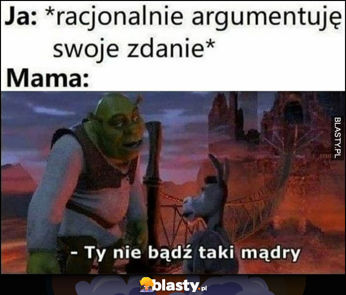 Ja: racjonalnie argumentuję swoje zdanie, mama: Ty nie bądź taki mądry Shrek