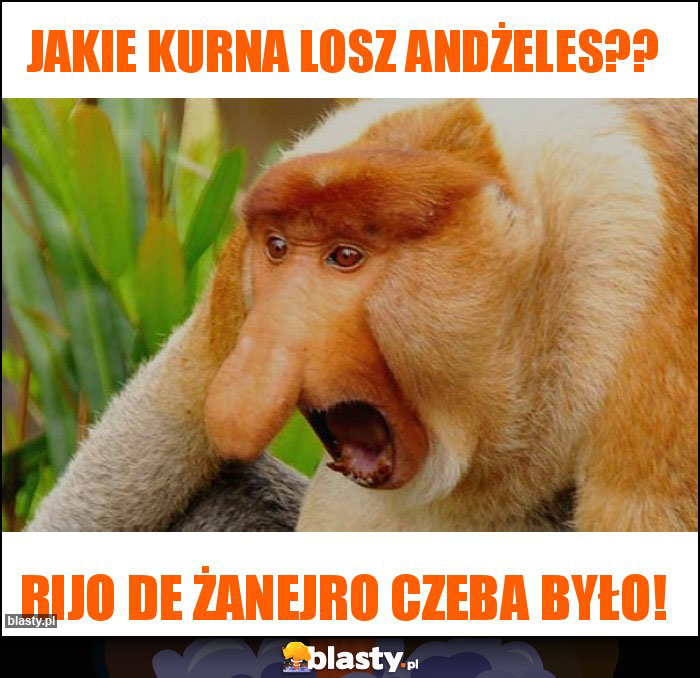 Jakie kurna losz andżeles?? Jakie kurna losz andżeles??
