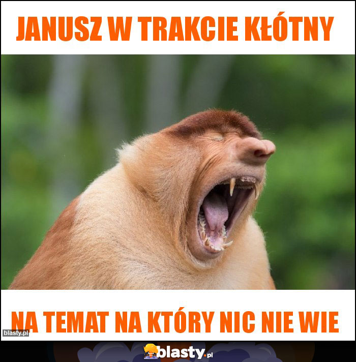 Janusz w trakcie kłótny Janusz w trakcie kłótny