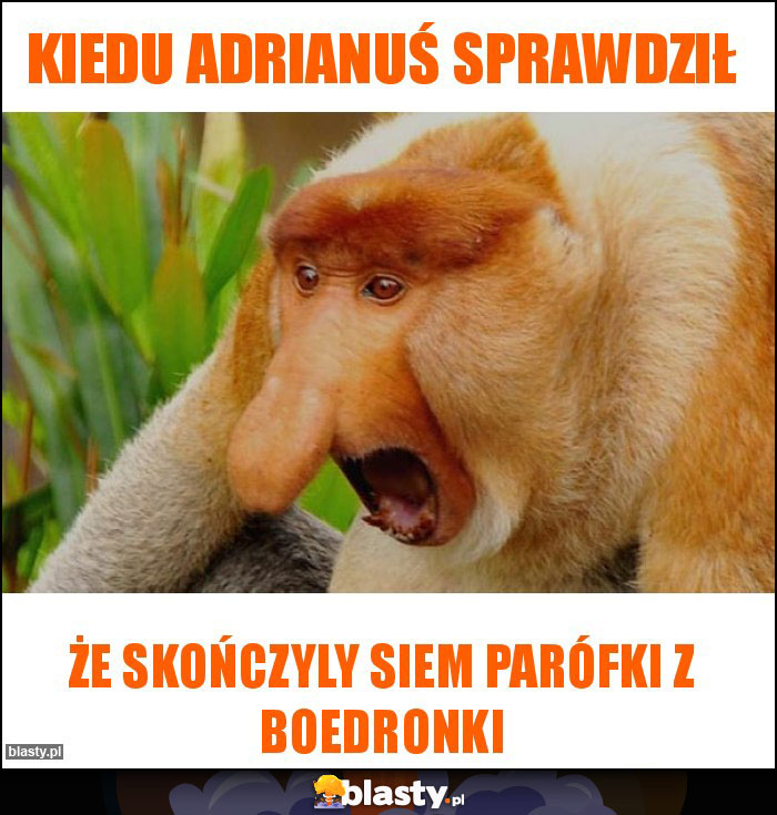 Kiedu adrianuś sprawdził Kiedu adrianuś sprawdził