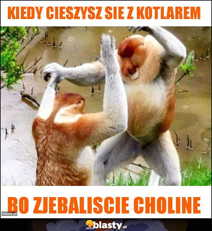 Kiedy cieszysz sie z Kotlarem Kiedy cieszysz sie z Kotlarem