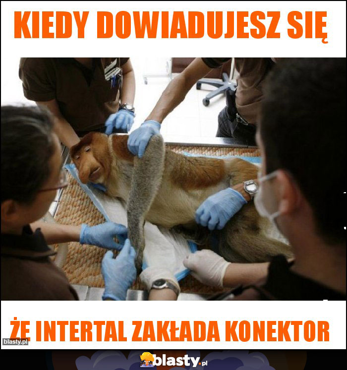 Kiedy dowiadujesz się Kiedy dowiadujesz się