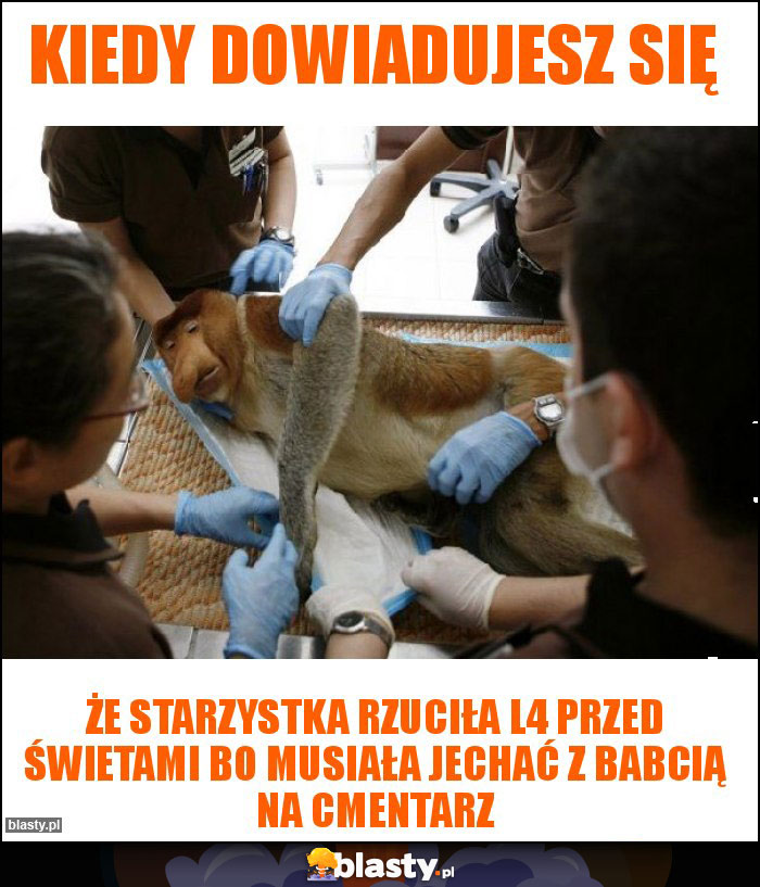 Kiedy dowiadujesz się Kiedy dowiadujesz się