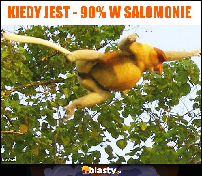Kiedy jest - 90% w Salomonie Kiedy jest - 90% w Salomonie