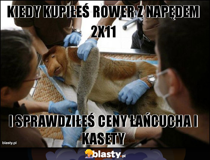 Kiedy kupiłeś rower z napędem 2x11 Kiedy kupiłeś rower z napędem 2x11