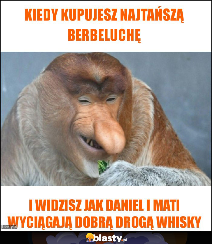 Kiedy kupujesz najtańszą berbeluchę Kiedy kupujesz najtańszą berbeluchę