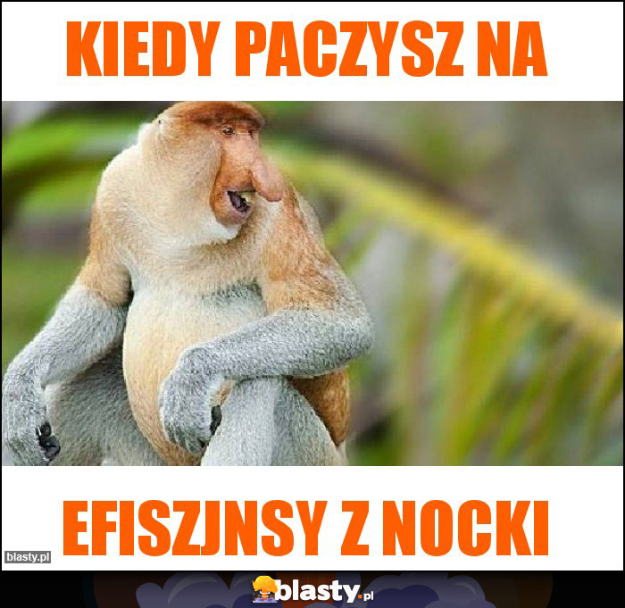 kiedy paczysz na kiedy paczysz na