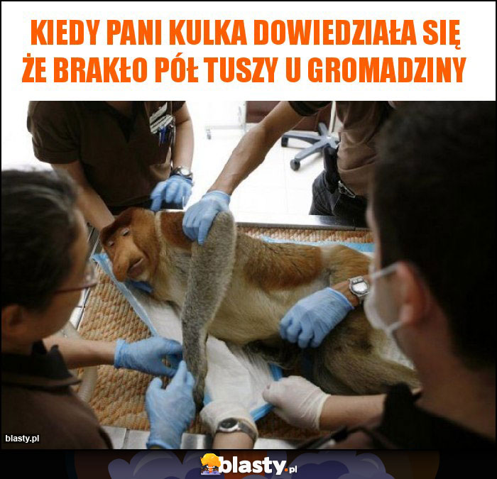 Kiedy pani kulka dowiedziała się że brakło pół tuszy u gromadziny Kiedy pani kulka dowiedziała się że brakło pół tuszy u gromadziny