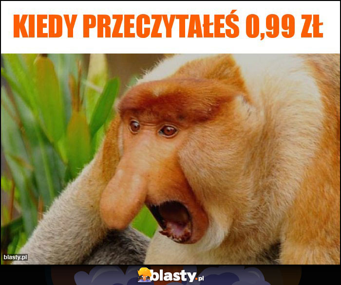 Kiedy przeczytałeś 0,99 zł