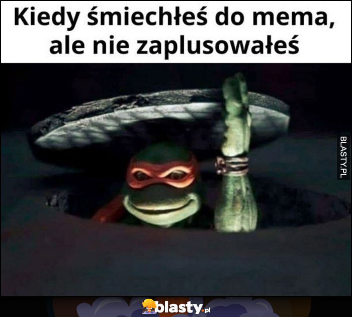 Kiedy śmiechłeś do mema ale nie zaplusowałeś Żółwie Ninja