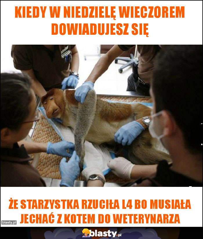 Kiedy w niedzielę wieczorem dowiadujesz się Kiedy w niedzielę wieczorem dowiadujesz się