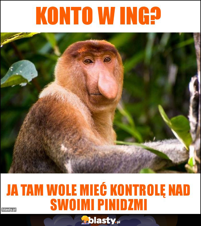 konto w ING? konto w ING?