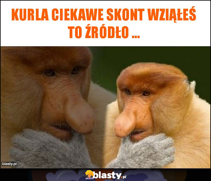 Kurla ciekawe skont wziąłeś to źródło ... Kurla ciekawe skont wziąłeś to źródło ...