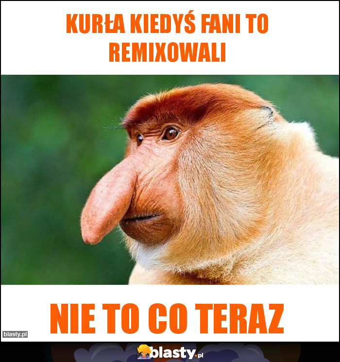 Kurła kiedyś fani to remixowali Kurła kiedyś fani to remixowali