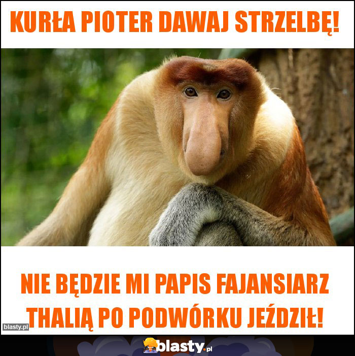 Kurła Pioter dawaj strzelbę! Kurła Pioter dawaj strzelbę!