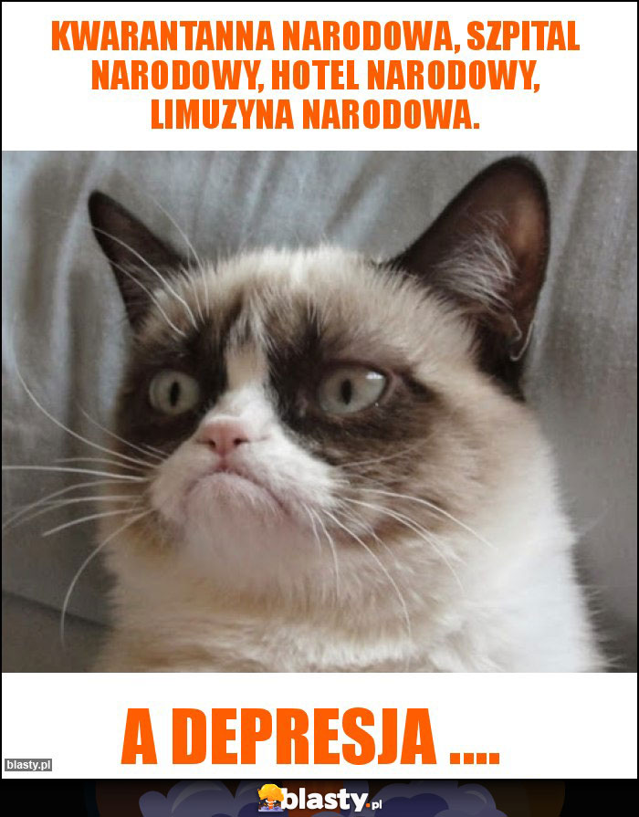 kwarantanna narodowa, szpital narodowy, hotel narodowy, limuzyna narodowa. kwarantanna narodowa, szpital narodowy, hotel narodowy, limuzyna narodowa.