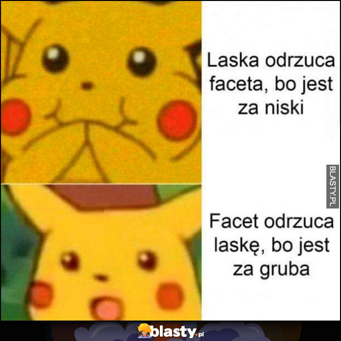 Laska odrzuca faceta bo jest za niski vs facet odrzuca laskę bo jest za gruba Pikachu Pokemon