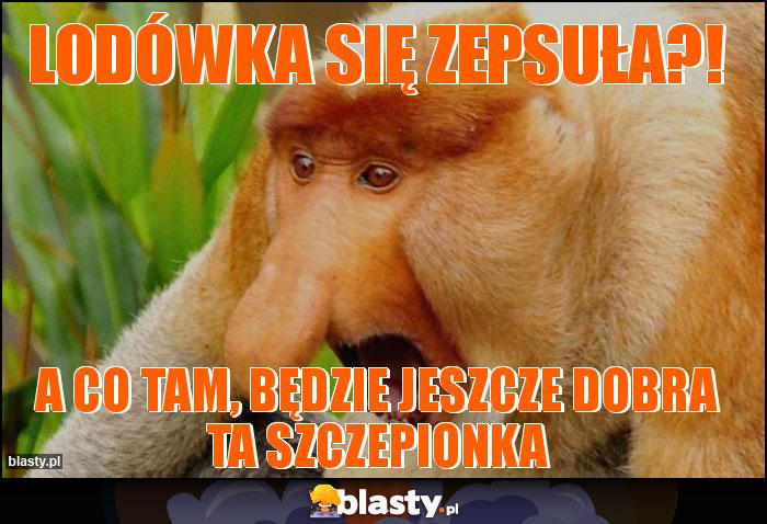 LODÓWKA SIĘ ZEPSUŁA?! LODÓWKA SIĘ ZEPSUŁA?!