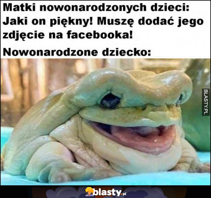 Matki nowonarodzonych dzieci: jaki on piękny! Muszę dodać jego zdjęcie na facebooka, nowonarodzone dziecko: brzydka żaba