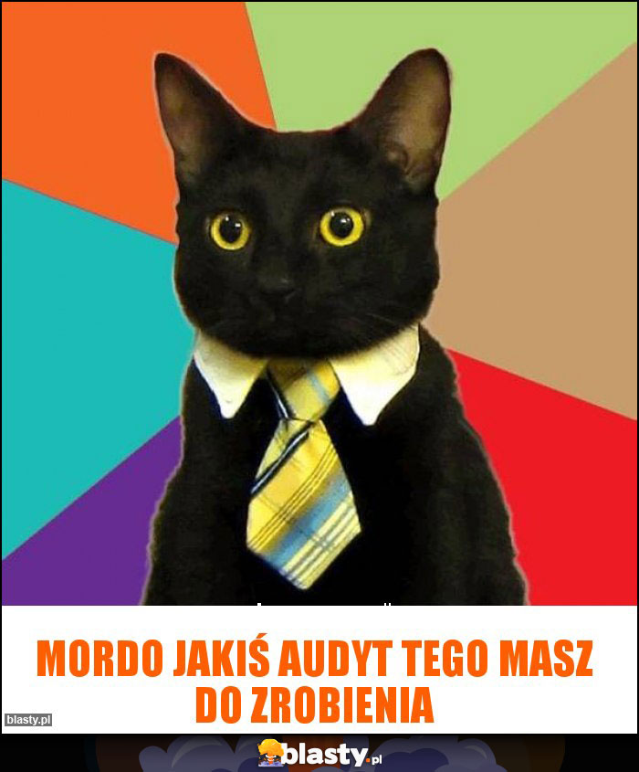 mordo jakiś audyt tego masz do zrobienia mordo jakiś audyt tego masz do zrobienia