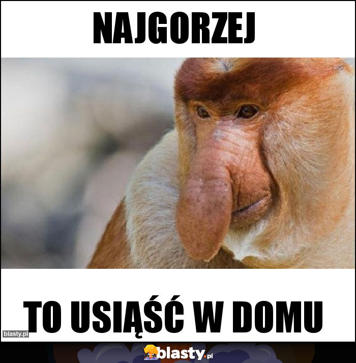 NAJGORZEJ