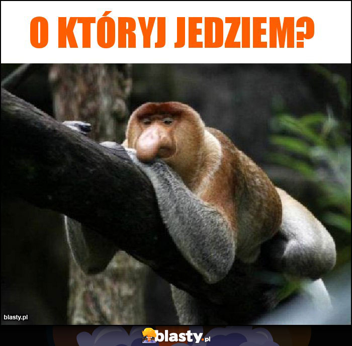 O któryj jedziem? O któryj jedziem?