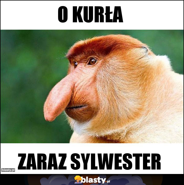 o kurła