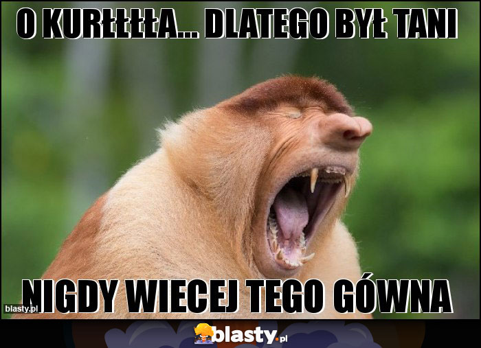 o kurłłłła... dlatego był tani o kurłłłła... dlatego był tani