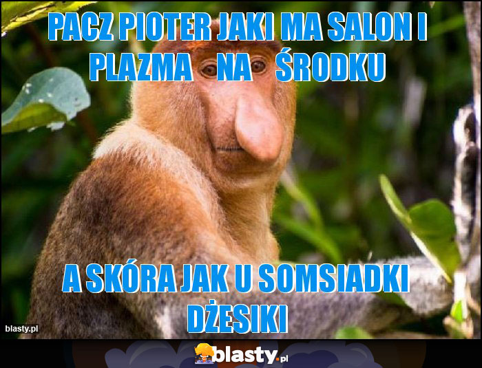 pacz pioter jaki ma salon i plazma na środku pacz pioter jaki ma salon i plazma na środku