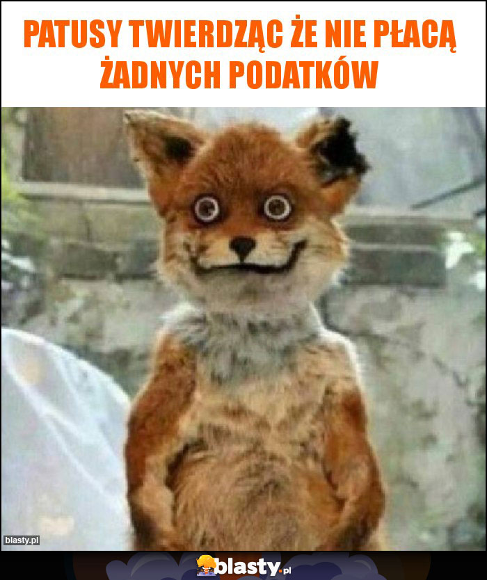 patusy twierdząc że nie płacą żadnych podatków patusy twierdząc że nie płacą żadnych podatków