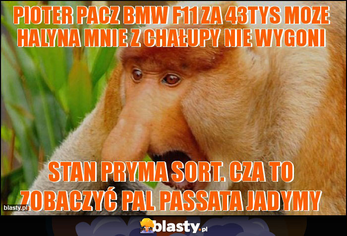 pioter pacz bmw f11 za 43tys moze halyna mnie z chałupy nie wygoni pioter pacz bmw f11 za 43tys moze halyna mnie z chałupy nie wygoni