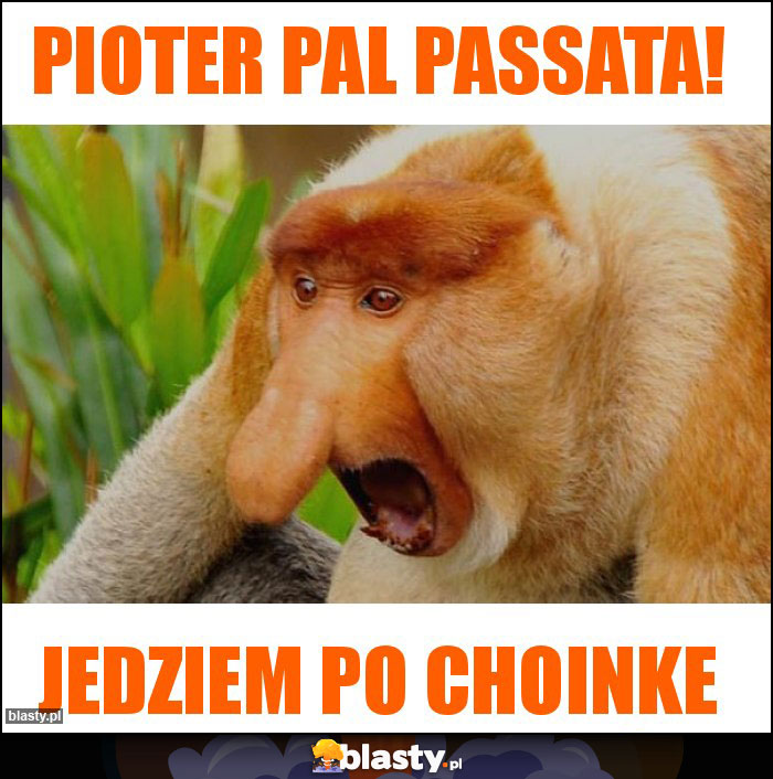 pIOTER pal passata! pIOTER pal passata!