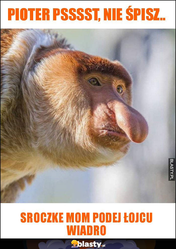 pioter psssst, nie śpisz.. pioter psssst, nie śpisz..